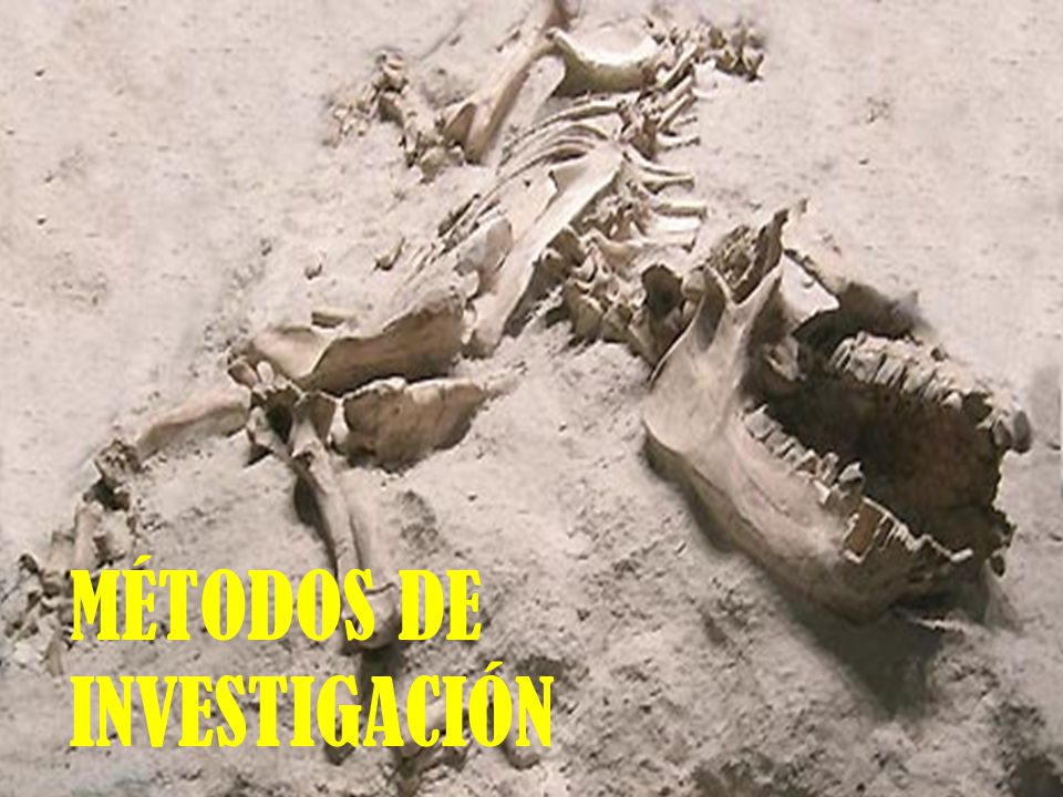 MÉTODOS DE INVESTIGACIÓN