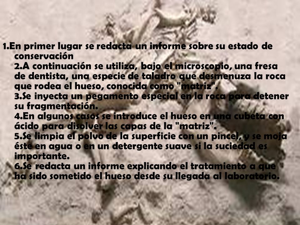 1.En primer lugar se redacta un informe sobre su estado de conservación 2.A continuación se utiliza, bajo el microscopio, una fresa de dentista, una especie de taladro que desmenuza la roca que rodea el hueso, conocida como matriz .
