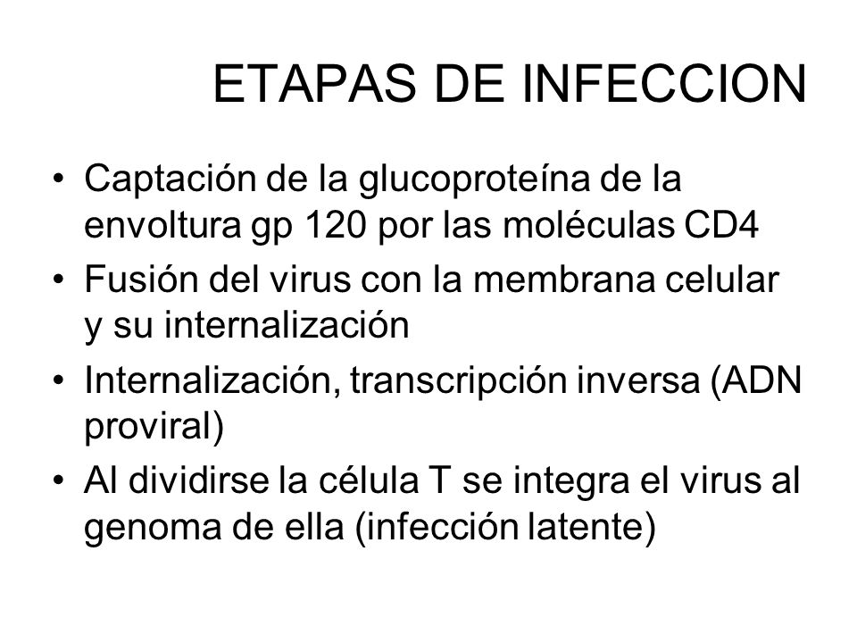 ETAPAS DE INFECCION Captación de la glucoproteína de la envoltura gp 120 por las moléculas CD4.