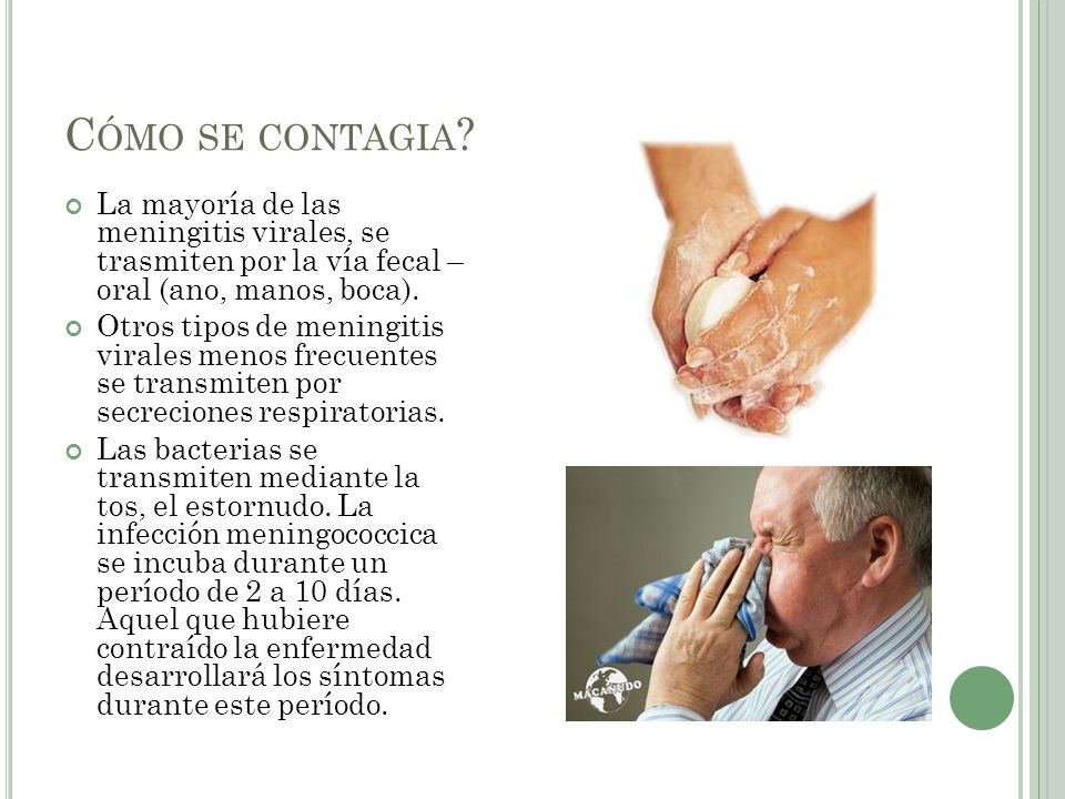 Cómo se contagia La mayoría de las meningitis virales, se trasmiten por la vía fecal – oral (ano, manos, boca).