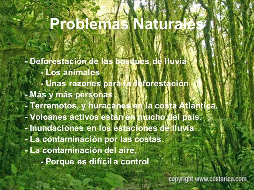 Problemas Naturales - Deforestación de las bosques de lluvia