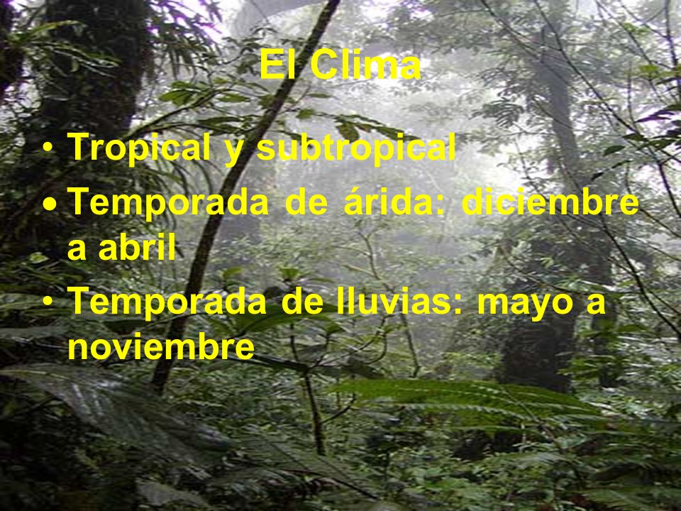El Clima Tropical y subtropical Temporada de árida: diciembre a abril