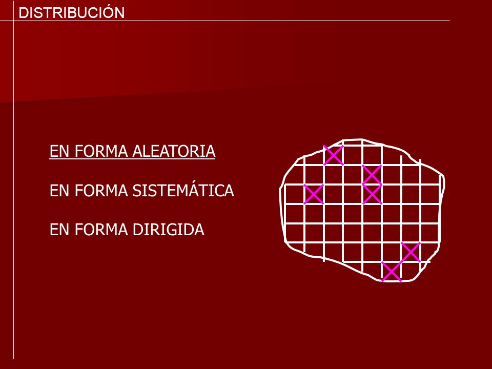 DISTRIBUCIÓN EN FORMA ALEATORIA EN FORMA SISTEMÁTICA EN FORMA DIRIGIDA