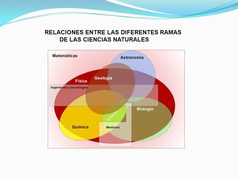 RELACIONES ENTRE LAS DIFERENTES RAMAS