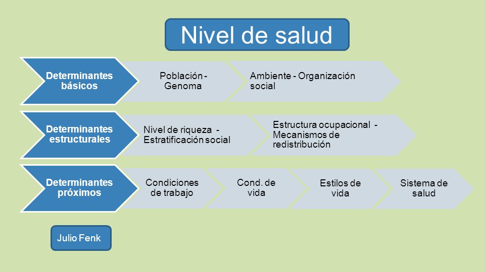 Distinción entre las condiciones de vida y los estilos de vida: