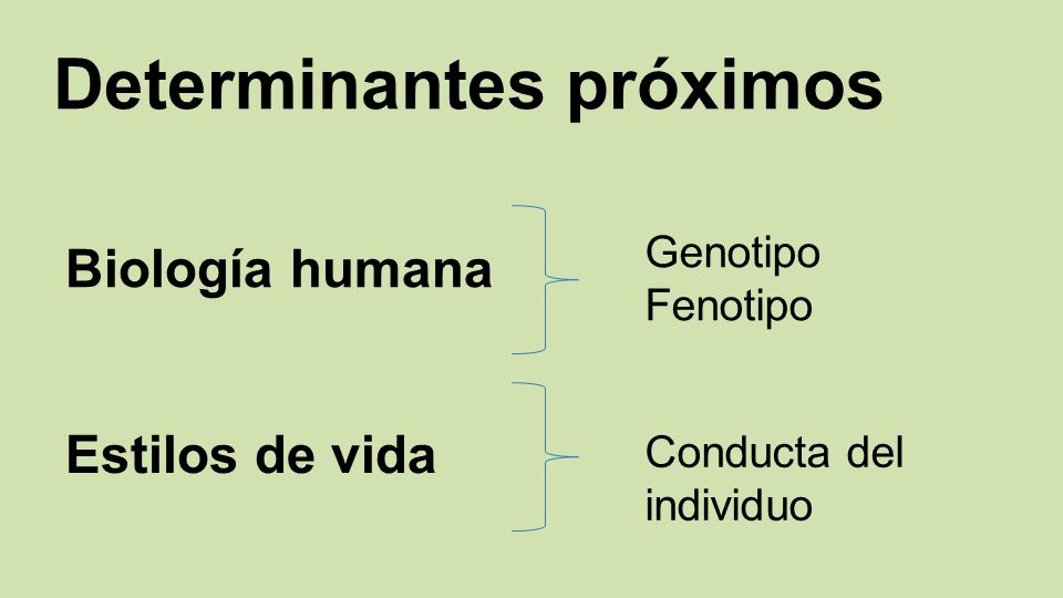 Macro - determinantes acceso a los servicios básicos educación empleo