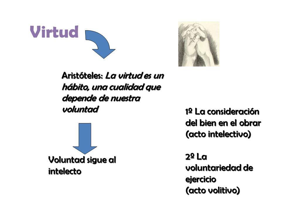 Virtud Aristóteles: La virtud es un hábito, una cualidad que depende de nuestra voluntad.