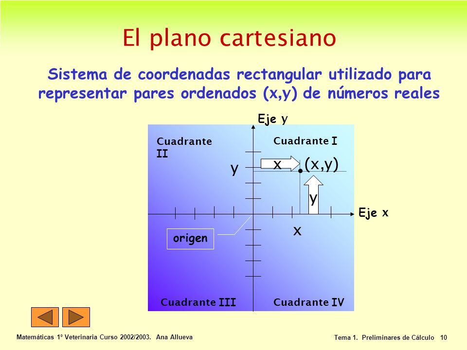 Matemáticas 1º Veterinaria Curso 2002/2003. Ana Allueva