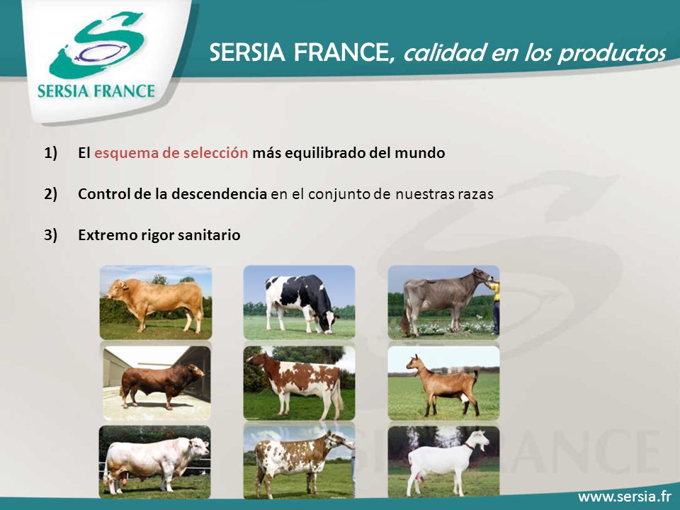 SERSIA FRANCE, calidad en los productos