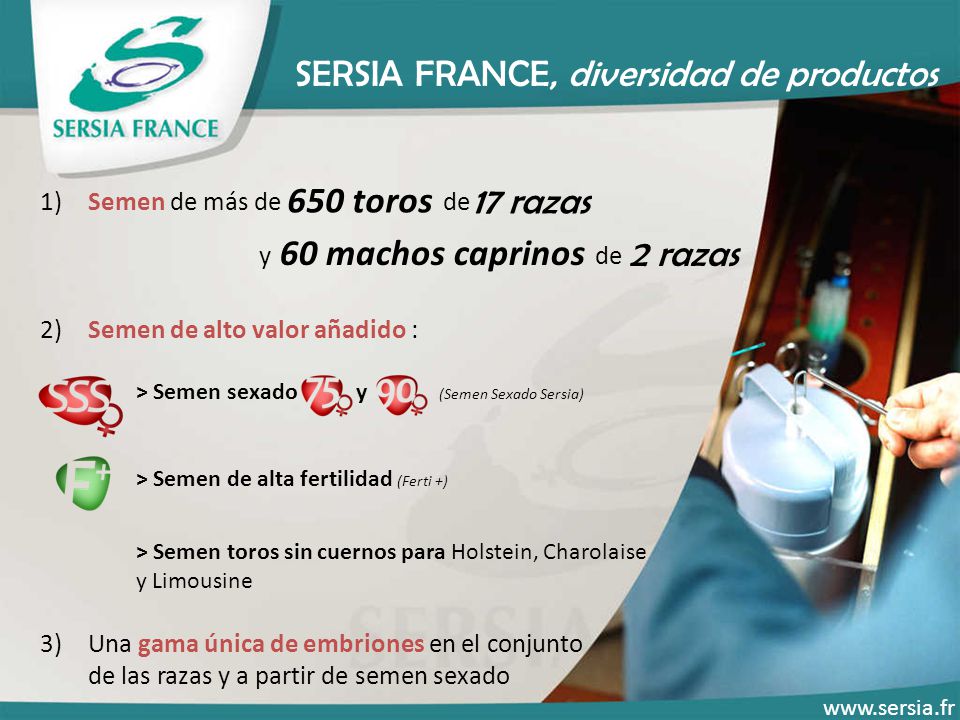 SERSIA FRANCE, diversidad de productos