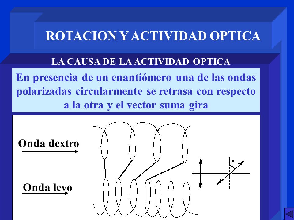 ROTACION Y ACTIVIDAD OPTICA LA CAUSA DE LA ACTIVIDAD OPTICA