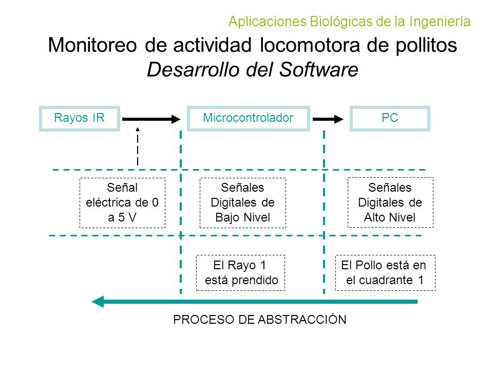 Monitoreo de actividad locomotora de pollitos Desarrollo del Software