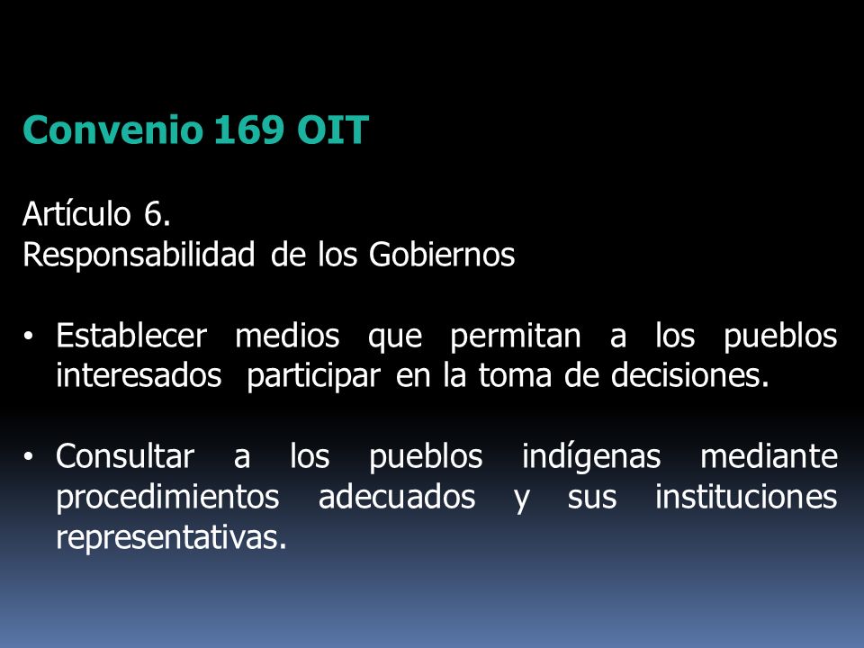 Convenio 169 OIT Artículo 6. Responsabilidad de los Gobiernos
