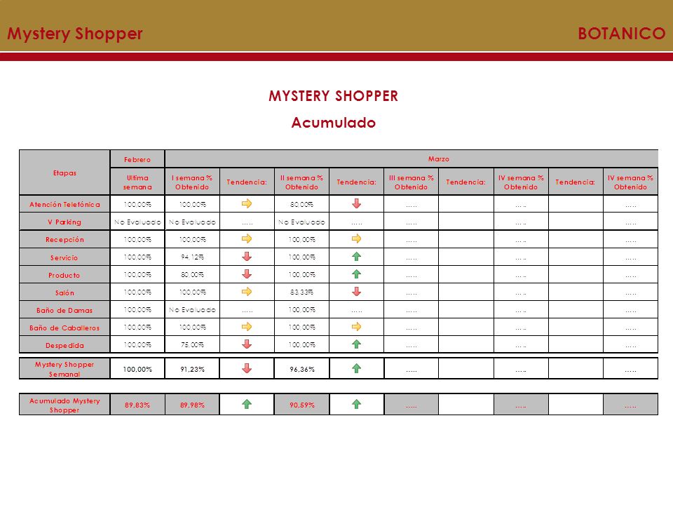 Mystery Shopper BOTANICO