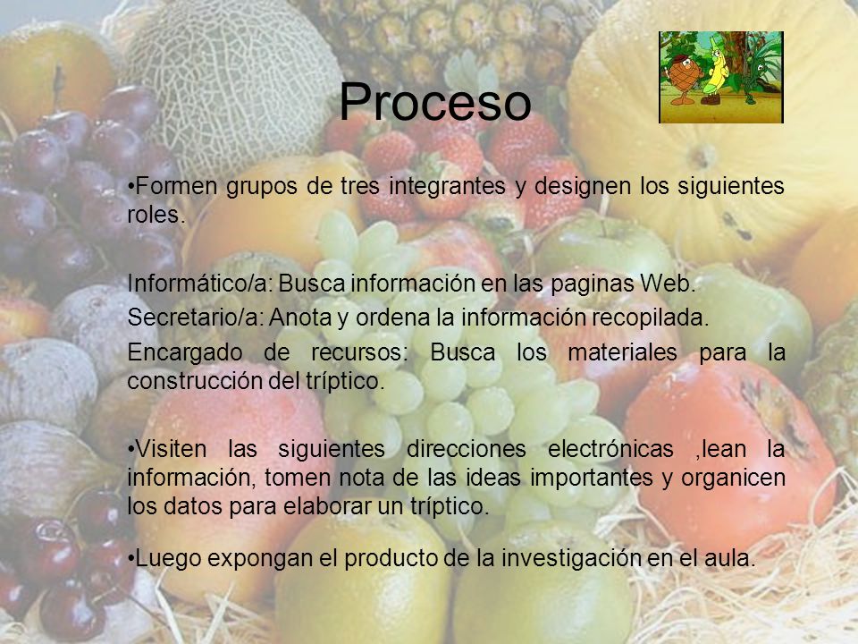 Proceso Formen grupos de tres integrantes y designen los siguientes roles. Informático/a: Busca información en las paginas Web.