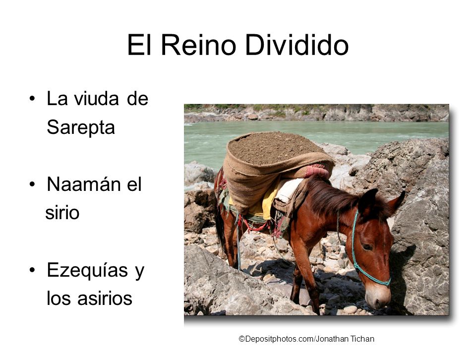 El Reino Dividido La viuda de Sarepta Naamán el sirio Ezequías y
