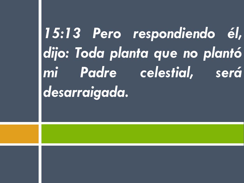 15:13 Pero respondiendo él, dijo: Toda planta que no plantó mi Padre celestial, será desarraigada.