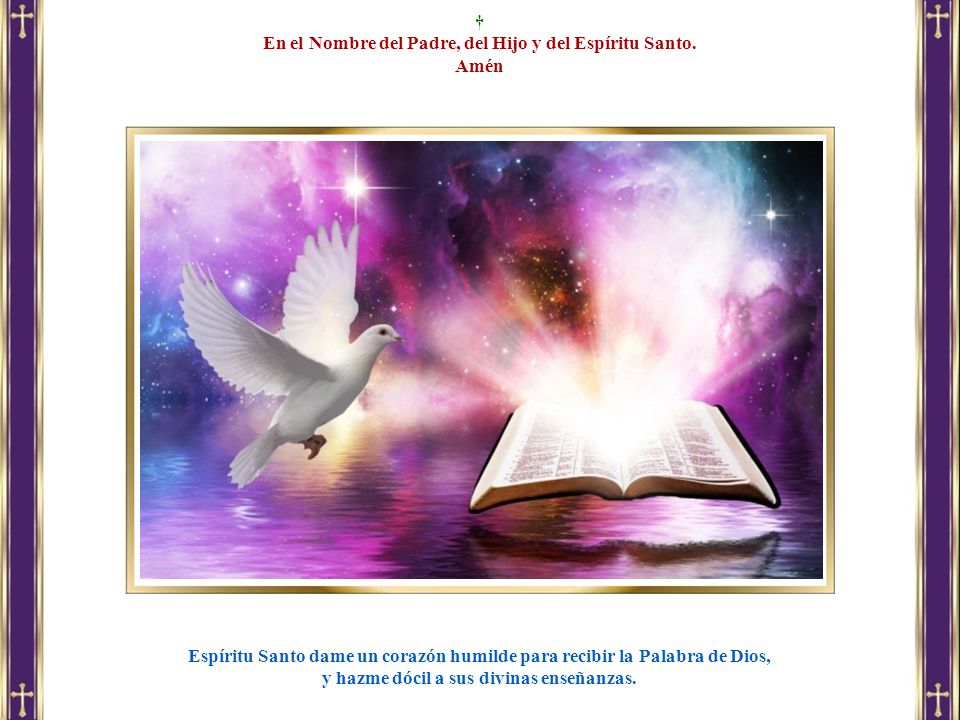 En el Nombre del Padre, del Hijo y del Espíritu Santo. Amén