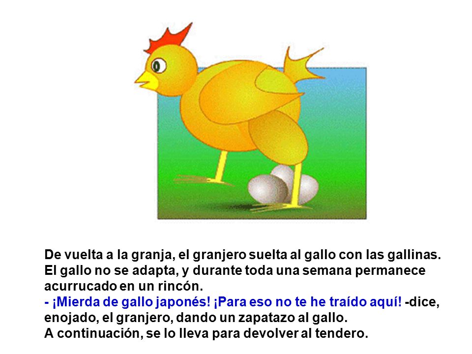 De vuelta a la granja, el granjero suelta al gallo con las gallinas.