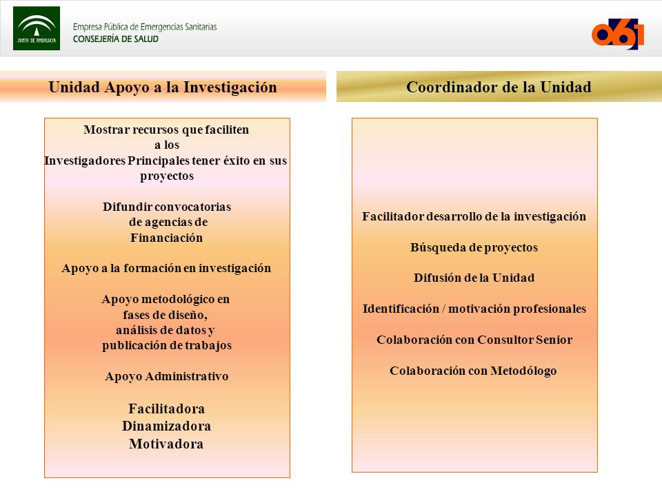 Unidad Apoyo a la Investigación Coordinador de la Unidad