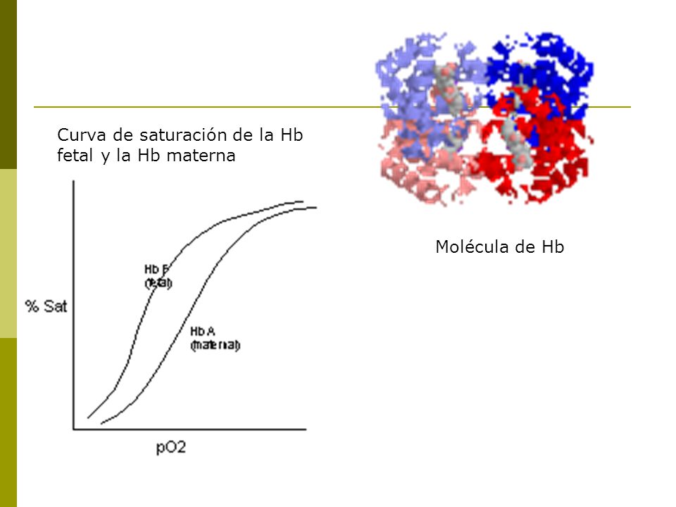 Curva de saturación de la Hb fetal y la Hb materna