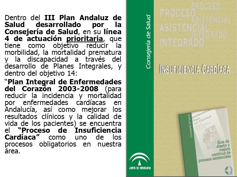 Dentro del III Plan Andaluz de Salud desarrollado por la Consejería de Salud, en su línea 4 de actuación prioritaria, que tiene como objetivo reducir la morbilidad, la mortalidad prematura y la discapacidad a través del desarrollo de Planes Integrales, y dentro del objetivo 14: