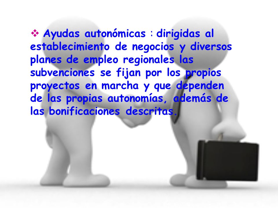Ayudas autonómicas : dirigidas al establecimiento de negocios y diversos planes de empleo regionales las subvenciones se fijan por los propios proyectos en marcha y que dependen de las propias autonomías, además de las bonificaciones descritas.
