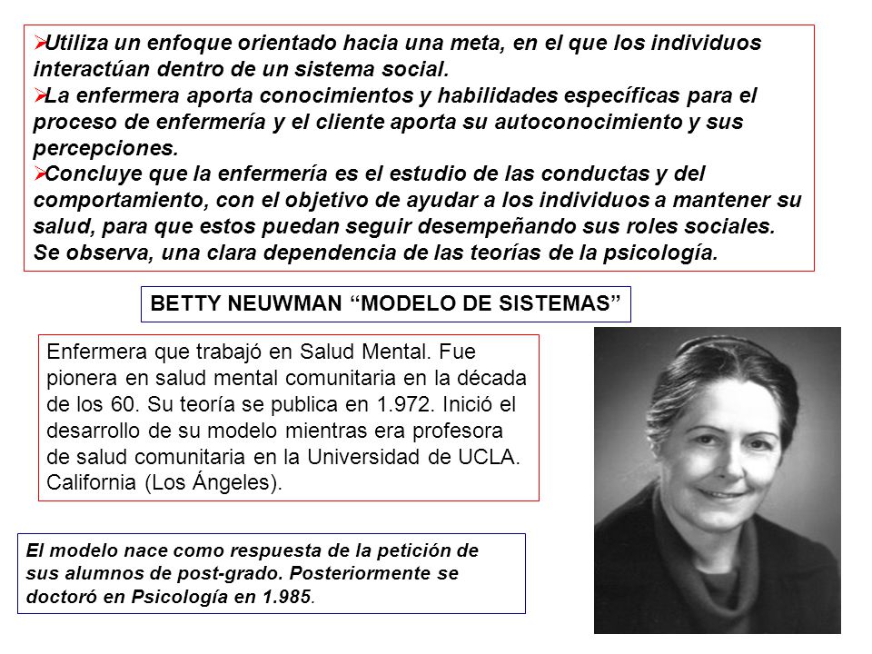 BETTY NEUWMAN MODELO DE SISTEMAS