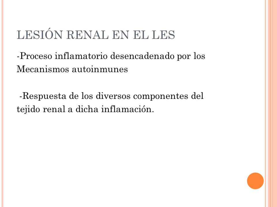 LESIÓN RENAL EN EL LES
