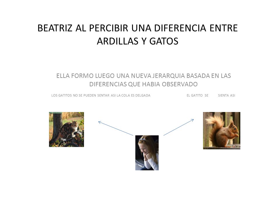 BEATRIZ AL PERCIBIR UNA DIFERENCIA ENTRE ARDILLAS Y GATOS