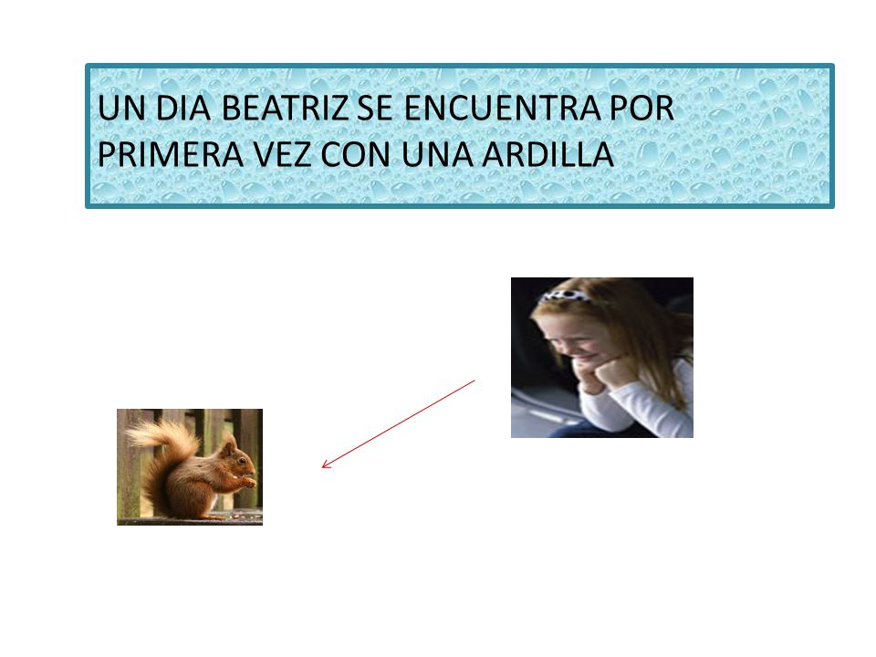 UN DIA BEATRIZ SE ENCUENTRA POR PRIMERA VEZ CON UNA ARDILLA