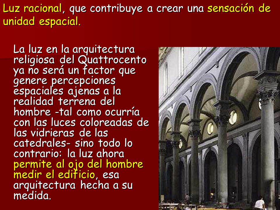 Luz racional, que contribuye a crear una sensación de unidad espacial.