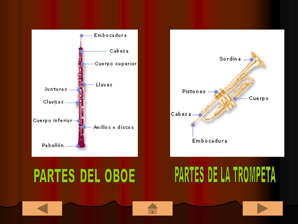 PARTES DE LA TROMPETA PARTES DEL OBOE