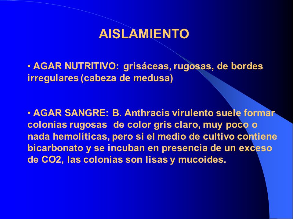 AISLAMIENTO AGAR NUTRITIVO: grisáceas, rugosas, de bordes irregulares (cabeza de medusa)