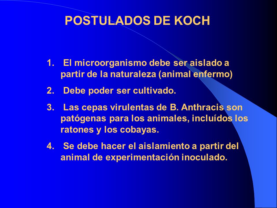 POSTULADOS DE KOCH El microorganismo debe ser aislado a partir de la naturaleza (animal enfermo) Debe poder ser cultivado.