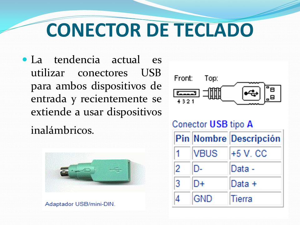 PARTES DEL COMPUTADOR. - ppt descargar