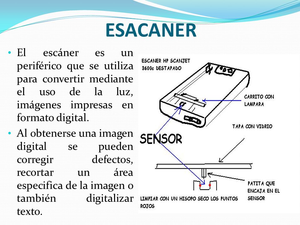 ESACANER El escáner es un periférico que se utiliza para convertir mediante el uso de la luz, imágenes impresas en formato digital.