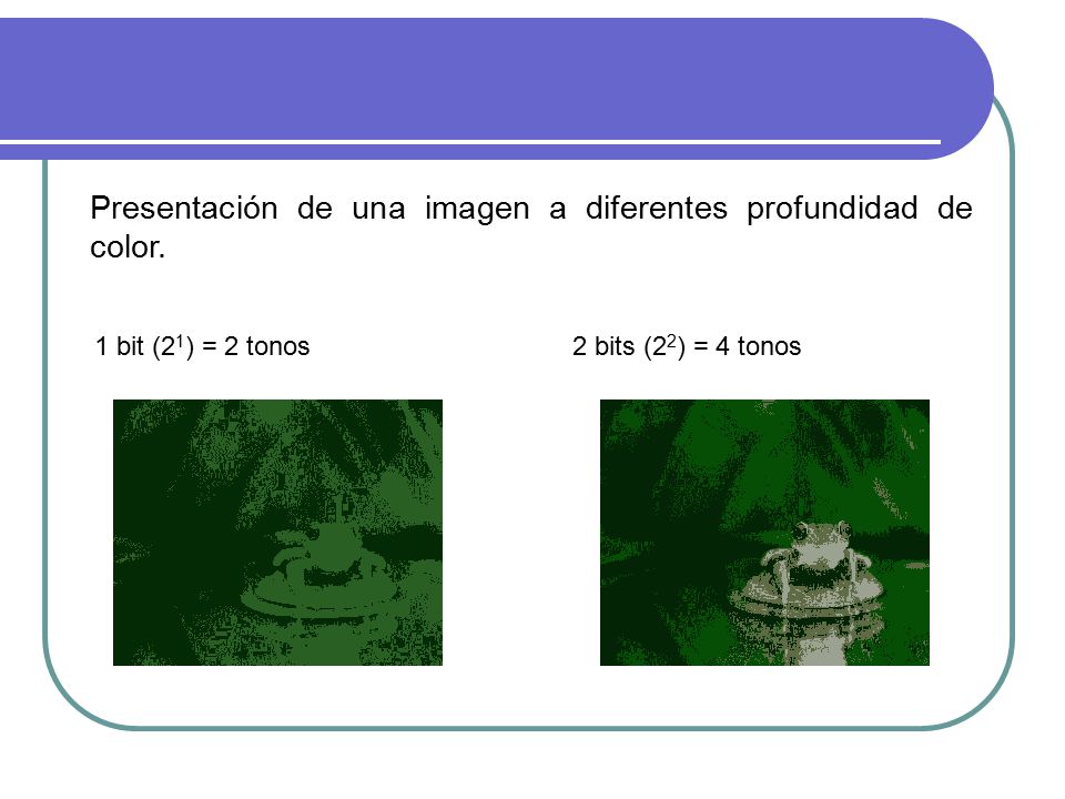Presentación de una imagen a diferentes profundidad de color.