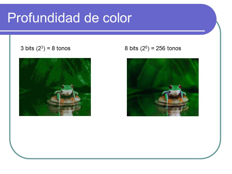 Profundidad de color 3 bits (23) = 8 tonos 8 bits (28) = 256 tonos