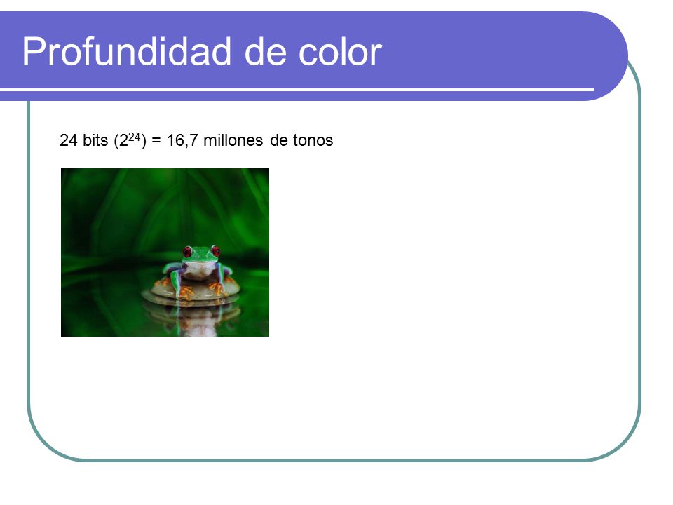 Profundidad de color 24 bits (224) = 16,7 millones de tonos