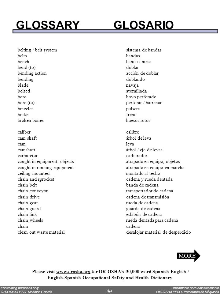 GLOSSARY GLOSARIO MORE belting / belt system sistema de bandas