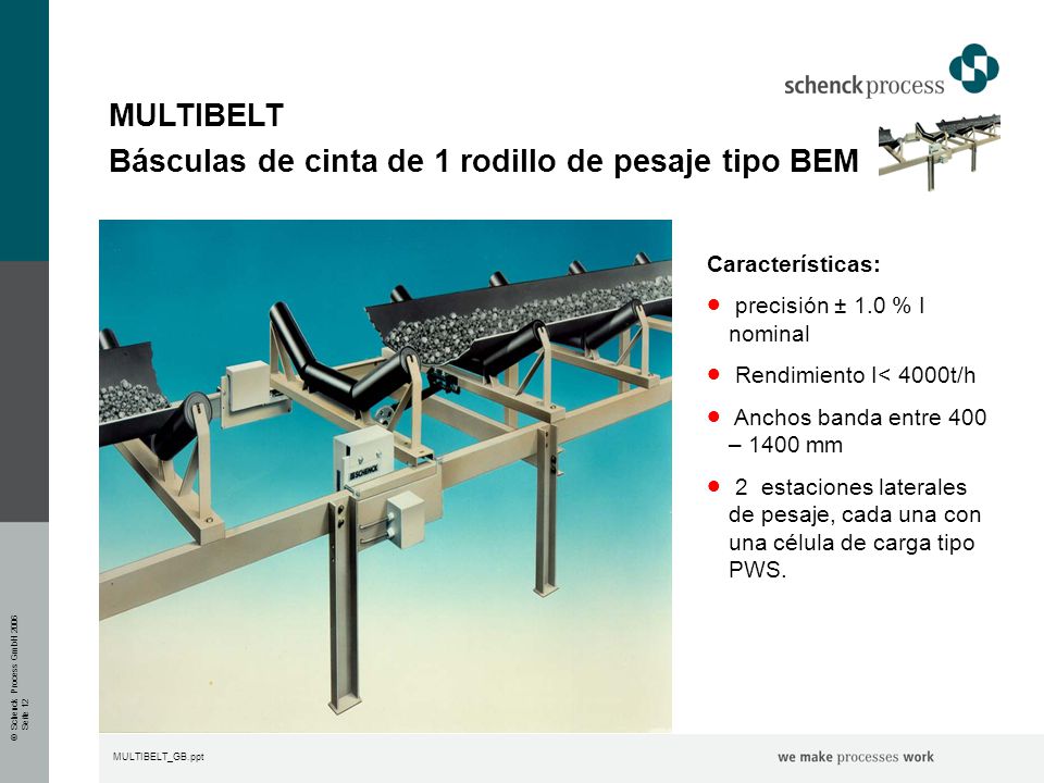 Básculas de cinta de 1 rodillo de pesaje tipo BEM