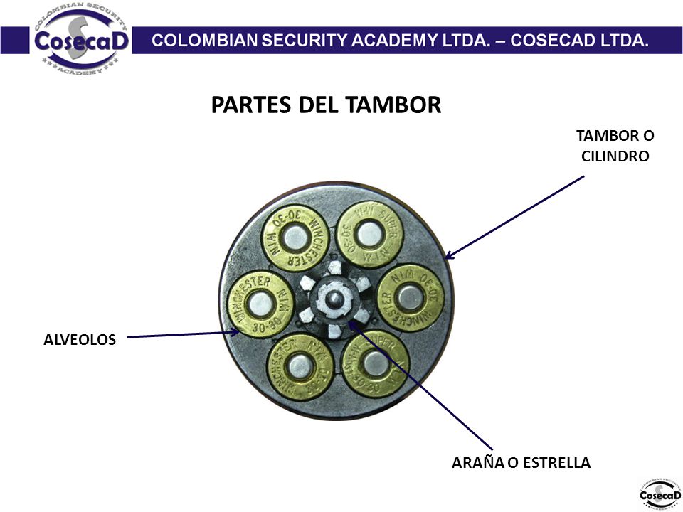 PARTES DEL TAMBOR TAMBOR O CILINDRO ALVEOLOS ARAÑA O ESTRELLA