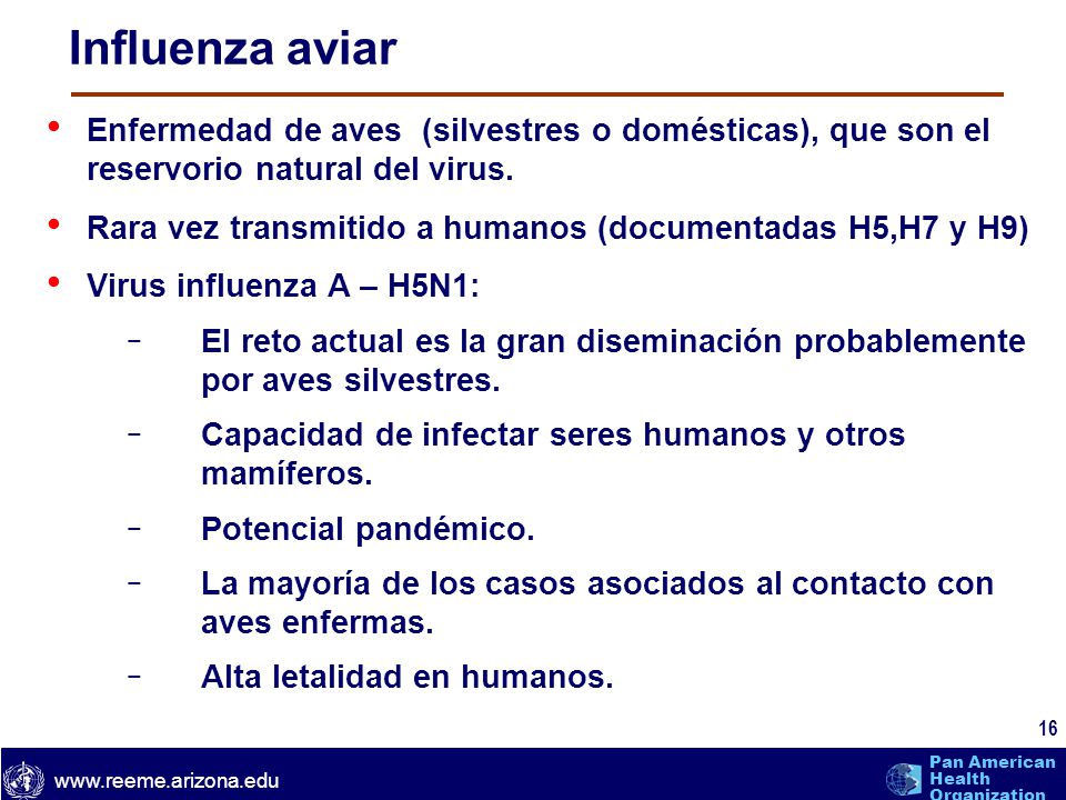 Influenza aviar Enfermedad de aves (silvestres o domésticas), que son el reservorio natural del virus.