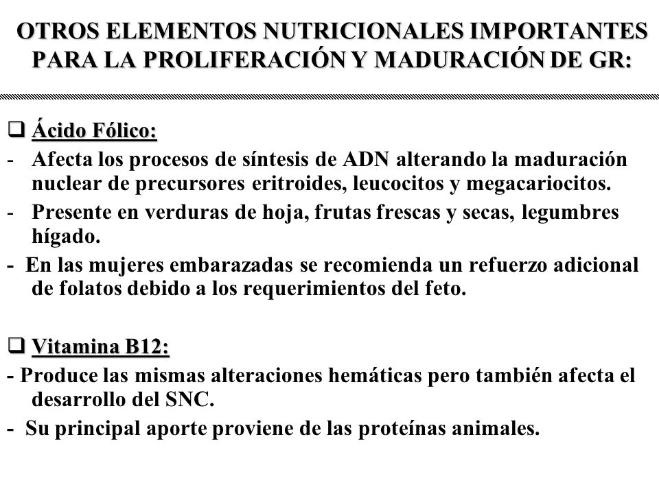OTROS ELEMENTOS NUTRICIONALES IMPORTANTES PARA LA PROLIFERACIÓN Y MADURACIÓN DE GR: