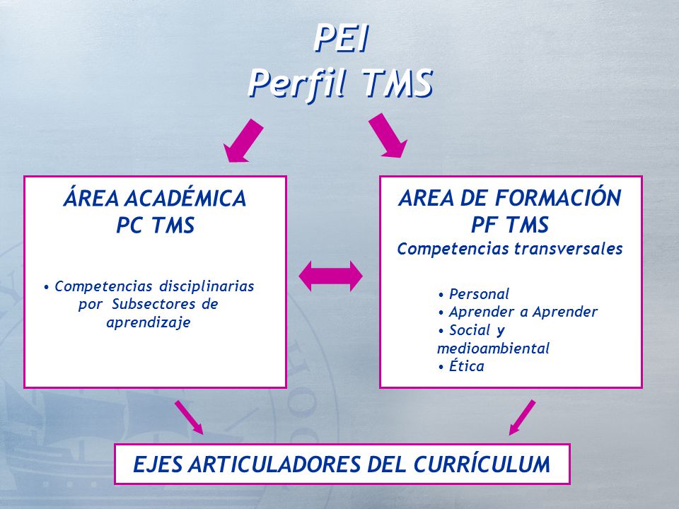 PEI Perfil TMS ÁREA ACADÉMICA AREA DE FORMACIÓN PF TMS PC TMS