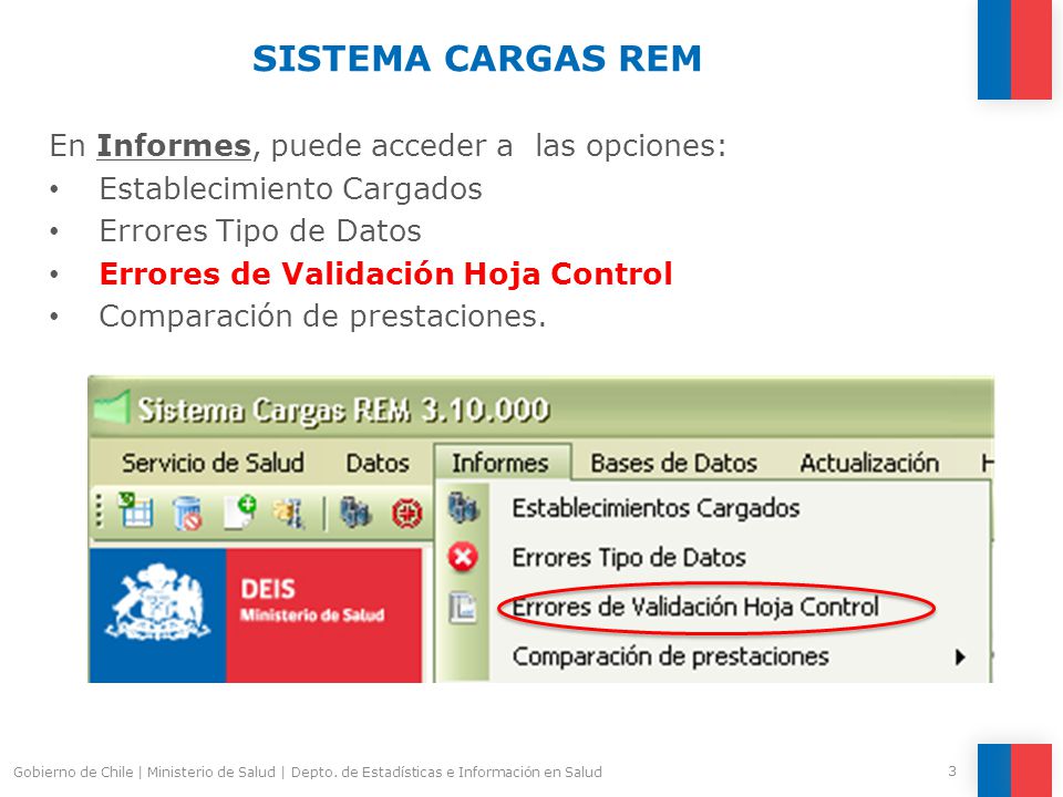 SISTEMA CARGAS REM En Informes, puede acceder a las opciones: