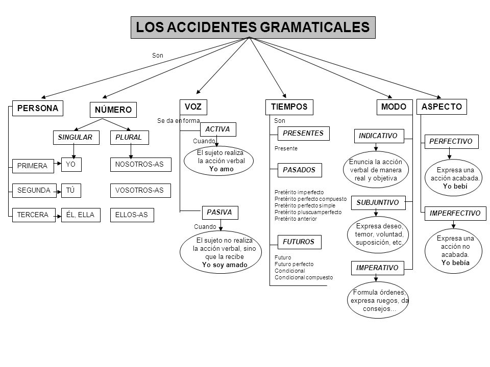 LOS ACCIDENTES GRAMATICALES