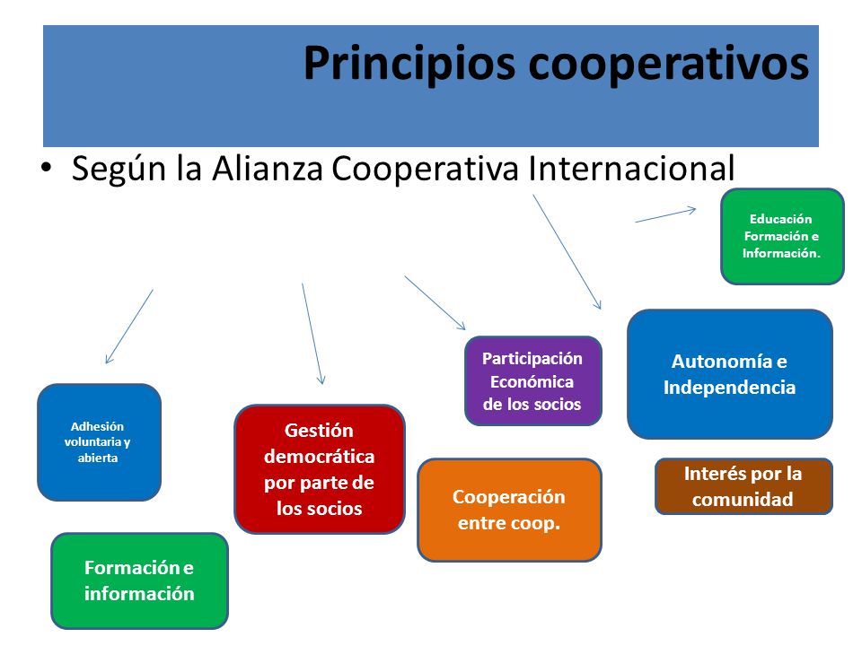 Principios cooperativos