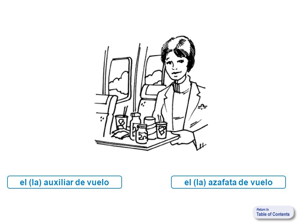 el (la) auxiliar de vuelo el (la) azafata de vuelo